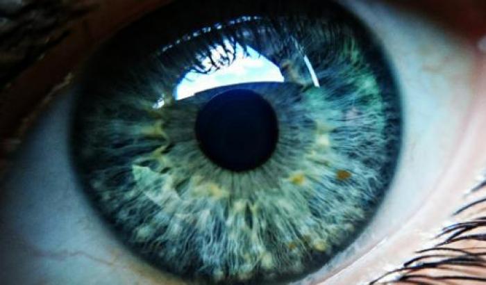 Occhi, il nostro sguardo sul mondo: come difenderli, come curarli