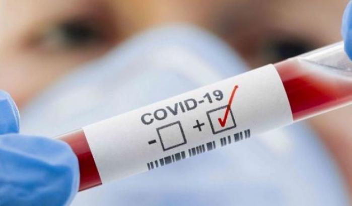 Nei pazienti  post Covid-19 rimane una 'firma' nel sangue