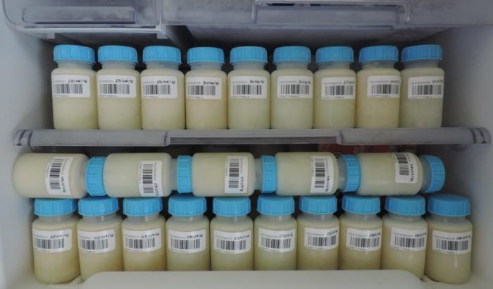 La pastorizzazione del latte (anche materno) distrugge il virus Covid-19