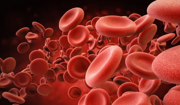 Globuli rossi  umani e "puliti" prodotti in laboratorio con una tecnica super rapida