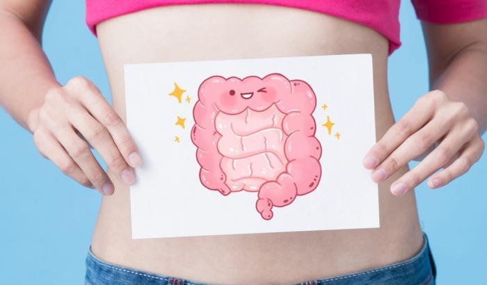 Il microbiota intestinale: quel nuovo organo da tutelare