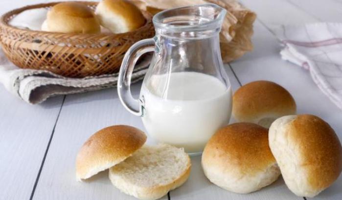 Covid-19, gli scienziati al governo inglese: aggiungere Vitamina D al pane e al latte
