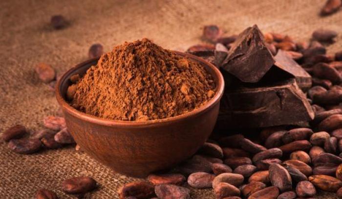 Cacao e flavanoli, un mix benefico per mantenere in forma il cervello